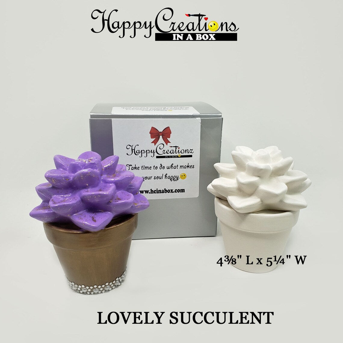 π΅π¨ Paint Your Own Lovely Succulent Kit β¨π